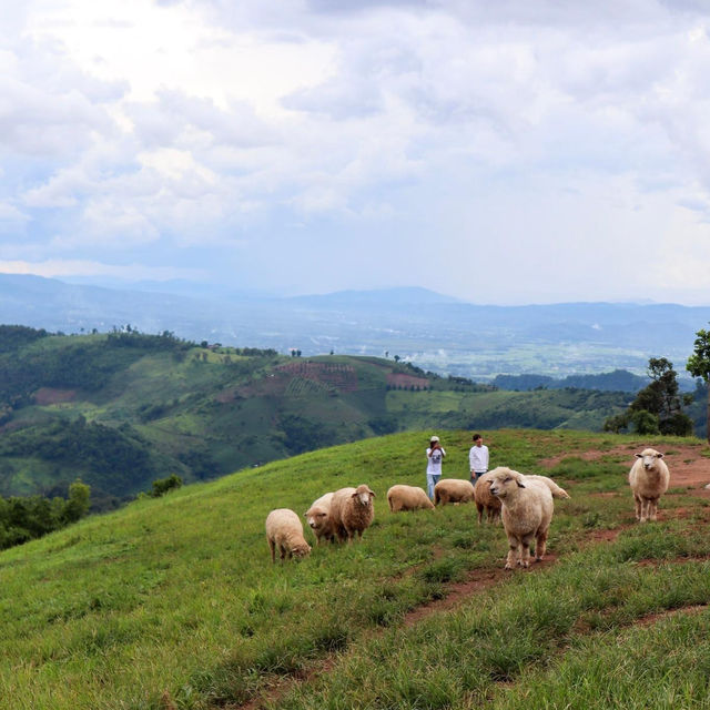 Akha Farm Ville