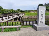 🌸【北海道函館】🌸五稜郭公園櫻花季，留下回憶