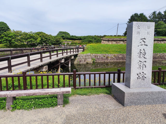 🌸【北海道函館】🌸五稜郭公園櫻花季，留下回憶