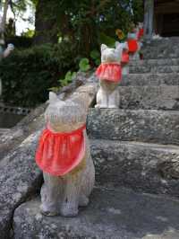【山口】猫好きさん必見！猫だらけのお寺♡