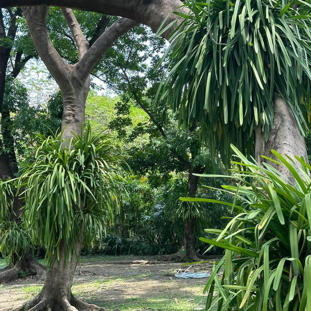 花柏山公園：綠意樂園，享受自然韻味