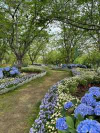💐 Manhua Manor • Chengdu 