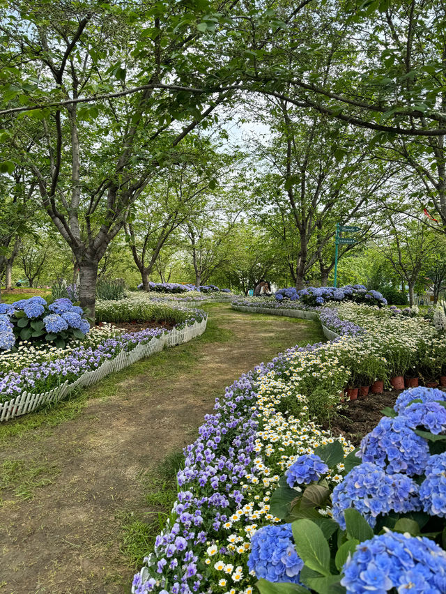 💐 Manhua Manor • Chengdu 