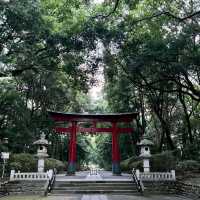 🌼 So relaxed at Omiya Hachimangu shrine