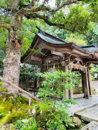 【新潟県】新潟県随一のパワースポット彌彦神社！