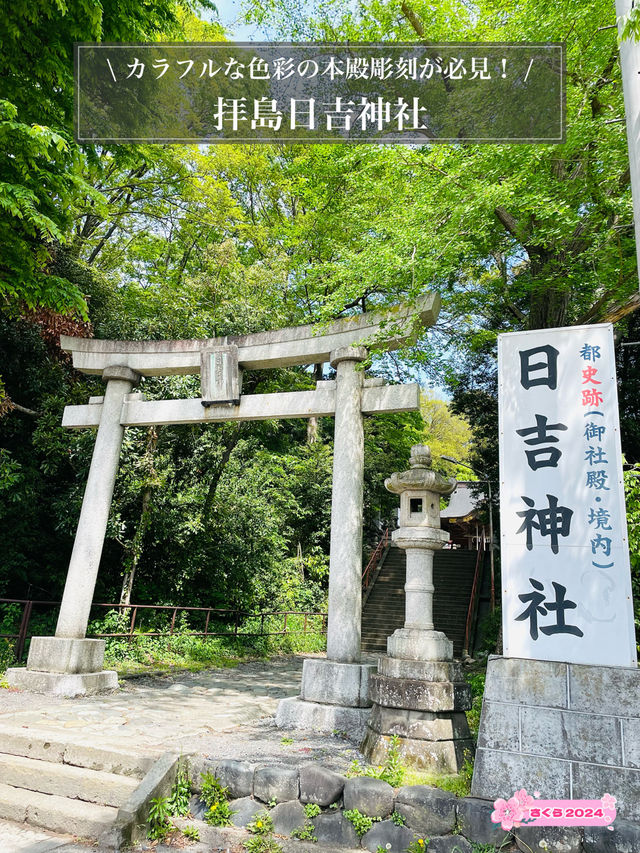 【拝島日吉神社/東京都】カラフルな色彩の本殿彫刻が必見！