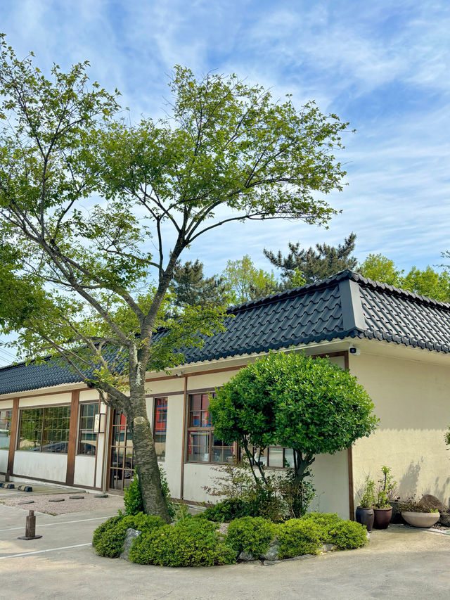 청보리밭에서 폴라로이드를 찍을 수 있는 경주여행🍃💚