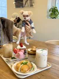울산 애견동반 카페🐕🐾 ‘우딬’