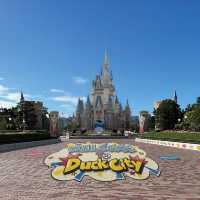 Donald's Quacky Duck City