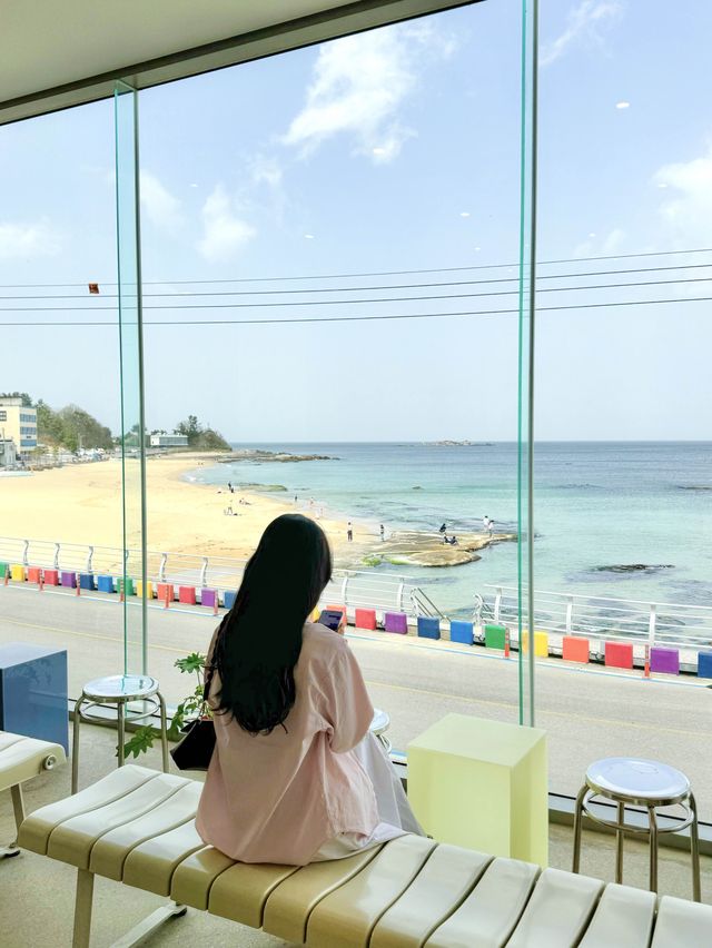 오션뷰 무지개 해안도로를 볼 수 있는 카페🌈