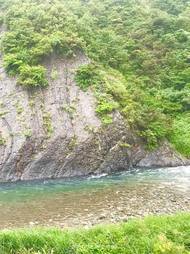 【新潟/十日町】半円から見える景色を春、夏、秋、冬制覇したくなるトンネル