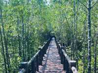 ภารกิจพิชิต..อุทยานแห่งชาติหมู่เกาะชุมพร 