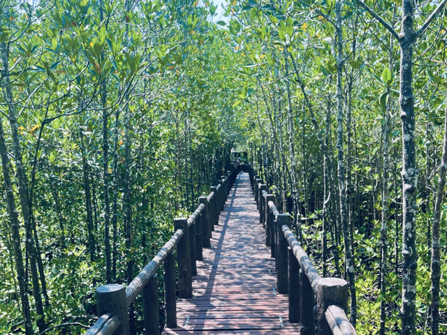 ภารกิจพิชิต..อุทยานแห่งชาติหมู่เกาะชุมพร 