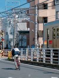 1 วันใน jiyugaoka