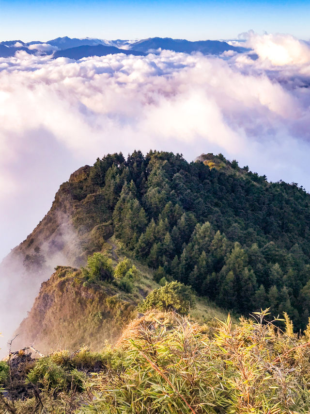 台灣桃山日出雲海