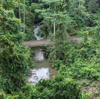 Danum Valley