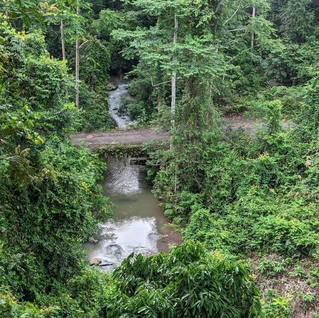 Danum Valley