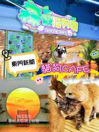 ⭐️東門町歡樂城又有新嘢玩🐱🐶