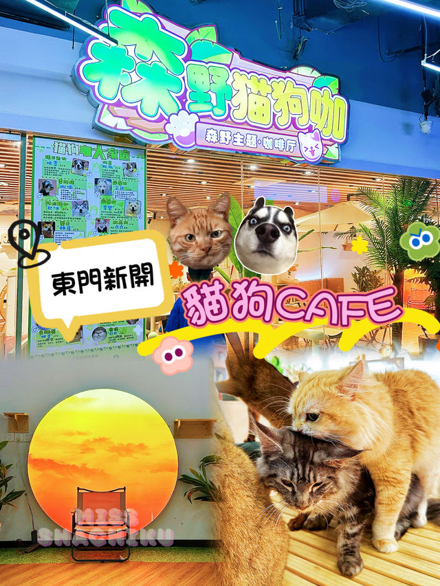 ⭐️東門町歡樂城又有新嘢玩🐱🐶