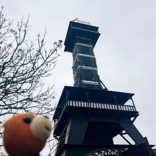 《丹麥🇩🇰 哥本哈根動物園 Copenhagen Zoo》 親子遊好去處