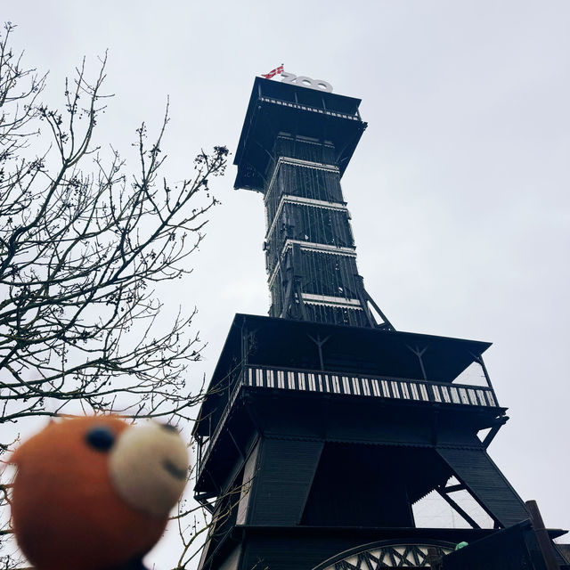 《丹麥🇩🇰 哥本哈根動物園 Copenhagen Zoo》 親子遊好去處