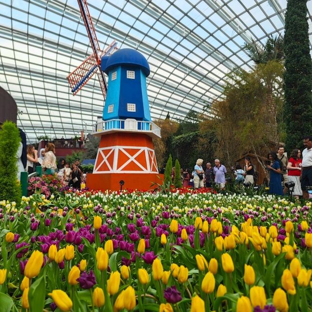 新加坡不能錯過之Garden by the bay