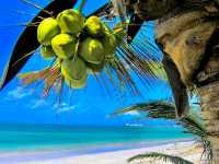 Mombasa Beach