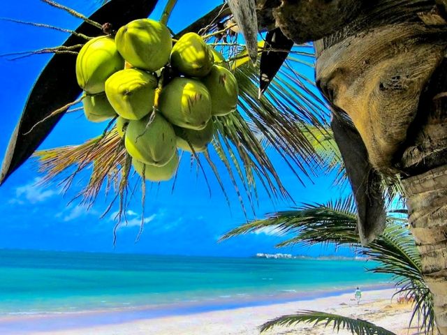 Mombasa Beach