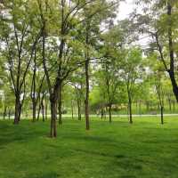 「白登河濕地公園：春季賞花，戶外活動的絕佳去處」