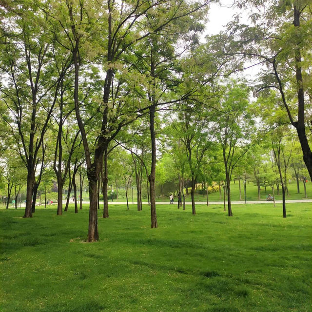 「白登河濕地公園：春季賞花，戶外活動的絕佳去處」