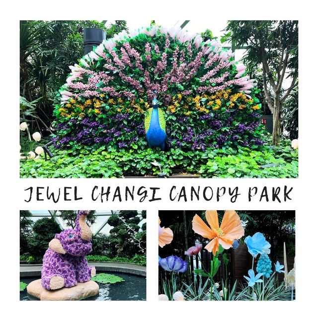 Jewel Blooms at Jewel Canopy Park
