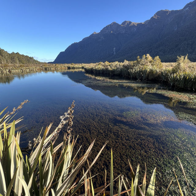 NZ South Island of nature and adventure