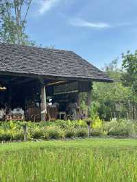 คาเฟ่ระยอง โอบบ์🌱ฟาร์ม&คาเฟ่