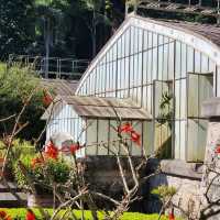【春天賞花踏青】仁山植物園：百花齊放，適合親子活動和教育體驗