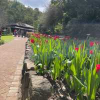 Araluen Botanic Park in Perth WA, perfect place for a weekend getaway