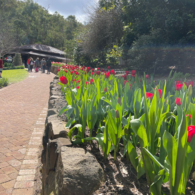 Araluen Botanic Park in Perth WA, perfect place for a weekend getaway