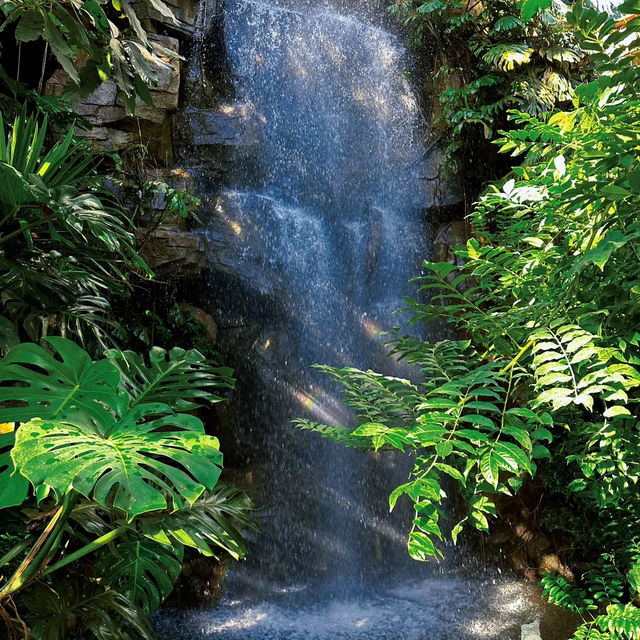「下賀茂熱帶植物園：熱帶雨林奇景，原始自然之旅」