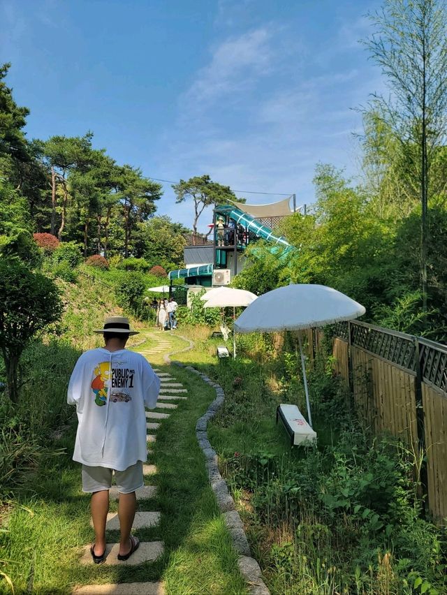 파란꽃길 걸으며 힐링하는 수국카페💙