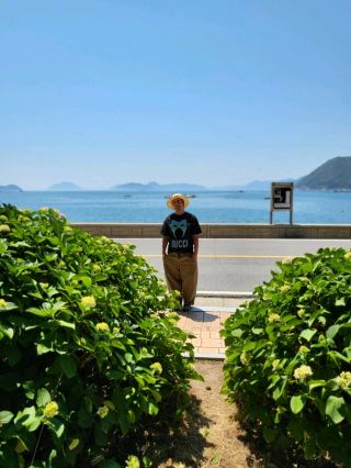巨濟島繡球花名勝地——楮求港