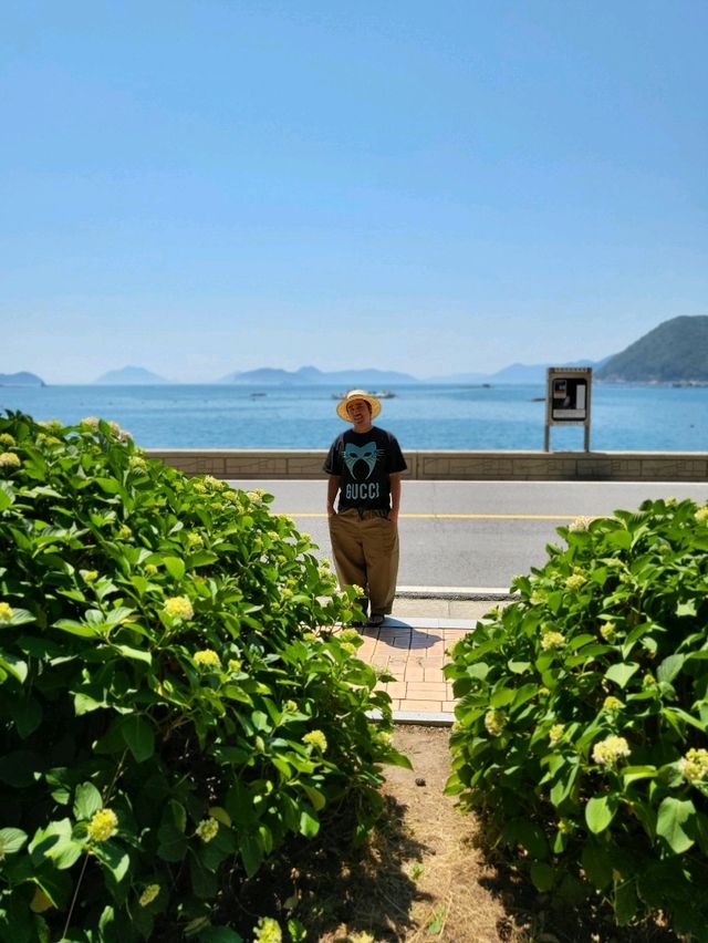 거제도 수국명소 저구항