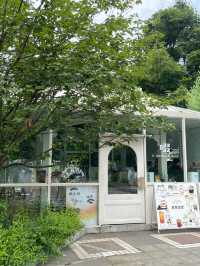 成都人民公園的迷人咖啡店-CHUO 啜咖啡