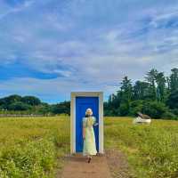 제주 숲속에 위치한 이상한 나라의 앨리스 감성카페 🌿 