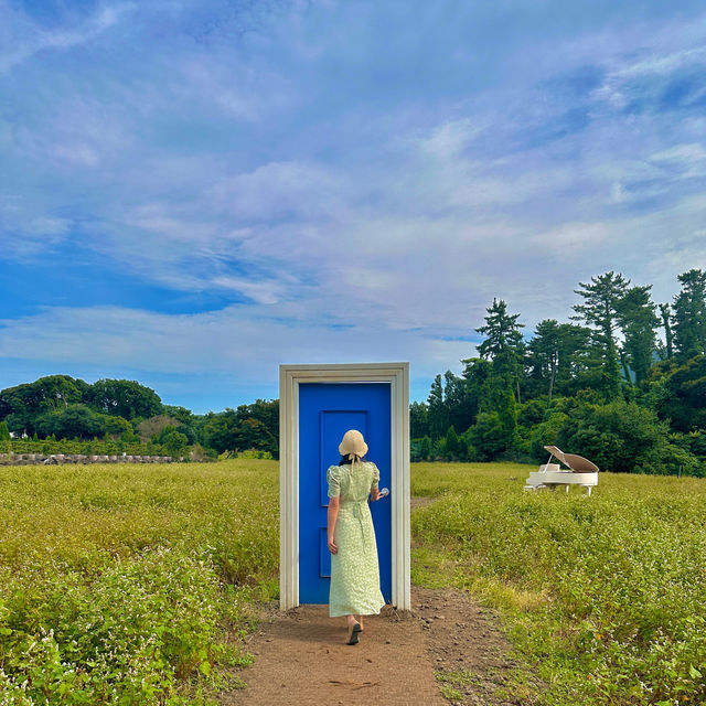 제주 숲속에 위치한 이상한 나라의 앨리스 감성카페 🌿 