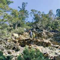 Conquering Jade Mountain: Taiwan's Majestic Summit