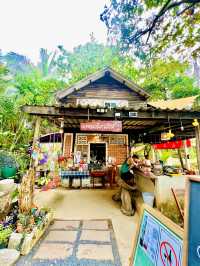 Must Visit Beachfront-Cafe In Phuket🇹🇭✨