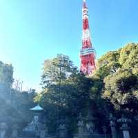 〜東京都〜増上寺！東京タワーと歴史的なお寺が見られる日本景色！