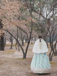穿韓服免費入景福宮，再去北村韓屋村