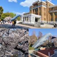 「上野恩賜公園：東京最大公園，適合休憩和旅遊」