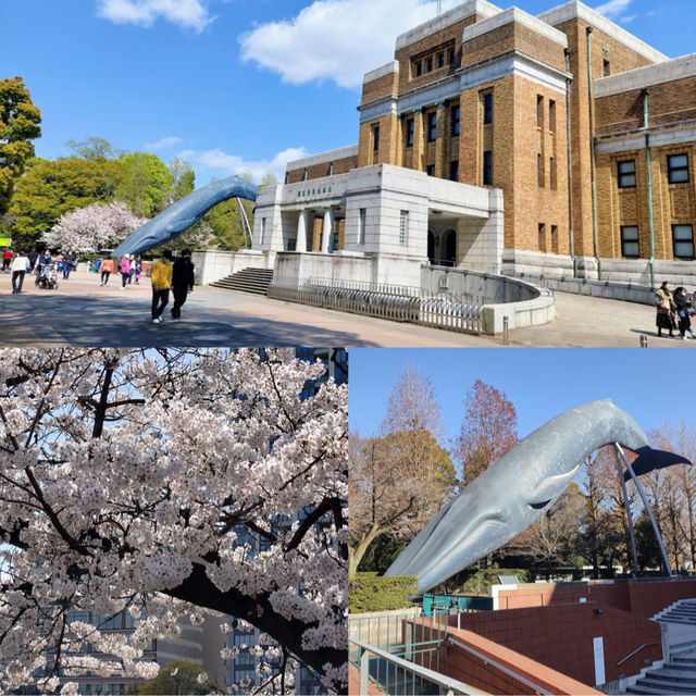 「上野恩賜公園：東京最大公園，適合休憩和旅遊」
