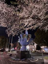 〜神奈川県〜桜と岡本太郎アート作品😳